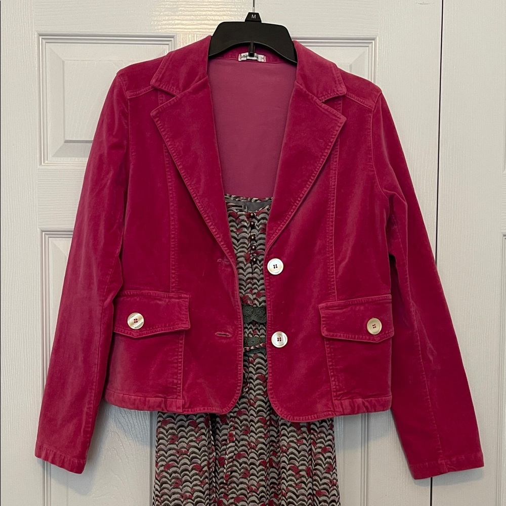 Allen Allen Pink Velvet Blazer